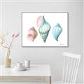 Picture of Seashells I  _GroupedProduct_Rectangle_Landscape_Canvas_Framed_