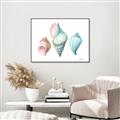 Picture of Seashells I  _GroupedProduct_Rectangle_Landscape_Canvas_Framed_