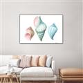 Picture of Seashells I  _GroupedProduct_Rectangle_Landscape_Canvas_Framed_