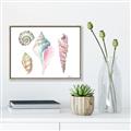 Picture of Seashells II  _GroupedProduct_Rectangle_Landscape_Canvas_Framed_