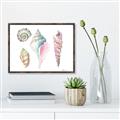 Picture of Seashells II  _GroupedProduct_Rectangle_Landscape_Canvas_Framed_