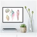 Picture of Seashells II  _GroupedProduct_Rectangle_Landscape_Canvas_Framed_