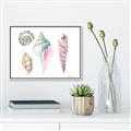 Picture of Seashells II  _GroupedProduct_Rectangle_Landscape_Canvas_Framed_