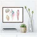 Picture of Seashells II  _GroupedProduct_Rectangle_Landscape_Canvas_Framed_