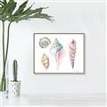Picture of Seashells II  _GroupedProduct_Rectangle_Landscape_Canvas_Framed_