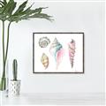 Picture of Seashells II  _GroupedProduct_Rectangle_Landscape_Canvas_Framed_