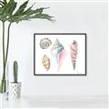 Picture of Seashells II  _GroupedProduct_Rectangle_Landscape_Canvas_Framed_