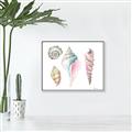 Picture of Seashells II  _GroupedProduct_Rectangle_Landscape_Canvas_Framed_