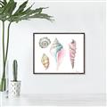 Picture of Seashells II  _GroupedProduct_Rectangle_Landscape_Canvas_Framed_