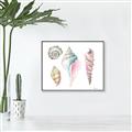 Picture of Seashells II  _GroupedProduct_Rectangle_Landscape_Canvas_Framed_