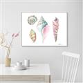 Picture of Seashells II  _GroupedProduct_Rectangle_Landscape_Canvas_Framed_