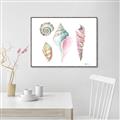 Picture of Seashells II  _GroupedProduct_Rectangle_Landscape_Canvas_Framed_
