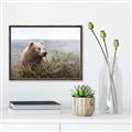 Picture of Waking Up _GroupedProduct_Rectangle_Landscape_Canvas_Framed_