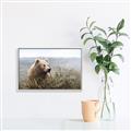 Picture of Waking Up _GroupedProduct_Rectangle_Landscape_Canvas_Framed_