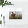 Picture of Waking Up _GroupedProduct_Rectangle_Landscape_Canvas_Framed_