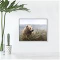 Picture of Waking Up _GroupedProduct_Rectangle_Landscape_Canvas_Framed_