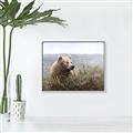 Picture of Waking Up _GroupedProduct_Rectangle_Landscape_Canvas_Framed_