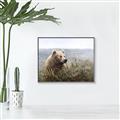 Picture of Waking Up _GroupedProduct_Rectangle_Landscape_Canvas_Framed_