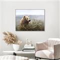 Picture of Waking Up _GroupedProduct_Rectangle_Landscape_Canvas_Framed_