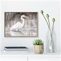 Picture of Wading Egret _GroupedProduct_Rectangle_Landscape_Canvas_Framed_
