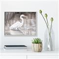 Picture of Wading Egret _GroupedProduct_Rectangle_Landscape_Canvas_Framed_