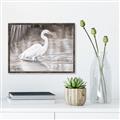 Picture of Wading Egret _GroupedProduct_Rectangle_Landscape_Canvas_Framed_