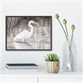 Picture of Wading Egret _GroupedProduct_Rectangle_Landscape_Canvas_Framed_