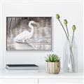 Picture of Wading Egret _GroupedProduct_Rectangle_Landscape_Canvas_Framed_