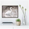 Picture of Wading Egret _GroupedProduct_Rectangle_Landscape_Canvas_Framed_