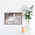 Picture of Wading Egret _GroupedProduct_Rectangle_Landscape_Canvas_Framed_