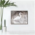 Picture of Wading Egret _GroupedProduct_Rectangle_Landscape_Canvas_Framed_