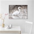 Picture of Wading Egret _GroupedProduct_Rectangle_Landscape_Canvas_Framed_