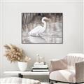 Picture of Wading Egret _GroupedProduct_Rectangle_Landscape_Canvas_Framed_