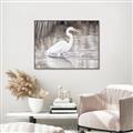 Picture of Wading Egret _GroupedProduct_Rectangle_Landscape_Canvas_Framed_