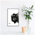 Picture of Sketched Bison _GroupedProduct_Rectangle_Portrait_Canvas_Framed_