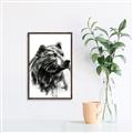 Picture of Sketched Bear _GroupedProduct_Rectangle_Portrait_Canvas_Framed_