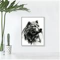 Picture of Sketched Bear _GroupedProduct_Rectangle_Portrait_Canvas_Framed_