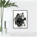 Picture of Sketched Bear _GroupedProduct_Rectangle_Portrait_Canvas_Framed_