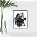 Picture of Sketched Bear _GroupedProduct_Rectangle_Portrait_Canvas_Framed_