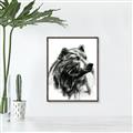 Picture of Sketched Bear _GroupedProduct_Rectangle_Portrait_Canvas_Framed_