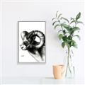 Picture of Sketched Ram _GroupedProduct_Rectangle_Portrait_Canvas_Framed_