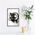 Picture of Sketched Ram _GroupedProduct_Rectangle_Portrait_Canvas_Framed_