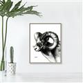 Picture of Sketched Ram _GroupedProduct_Rectangle_Portrait_Canvas_Framed_