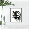 Picture of Sketched Ram _GroupedProduct_Rectangle_Portrait_Canvas_Framed_
