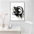 Picture of Sketched Ram _GroupedProduct_Rectangle_Portrait_Canvas_Framed_