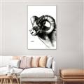 Picture of Sketched Ram _GroupedProduct_Rectangle_Portrait_Canvas_Framed_