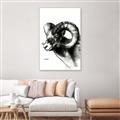 Picture of Sketched Ram _GroupedProduct_Rectangle_Portrait_Canvas_Framed_