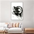 Picture of Sketched Ram _GroupedProduct_Rectangle_Portrait_Canvas_Framed_