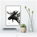 Picture of Sketched Moose _GroupedProduct_Rectangle_Portrait_Canvas_Framed_