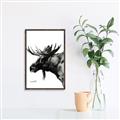 Picture of Sketched Moose _GroupedProduct_Rectangle_Portrait_Canvas_Framed_